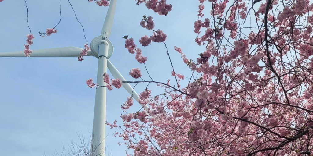 Map On the Hunt for the Exhibition Place Cherry Blossoms Exhibition